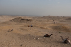 Camel rides