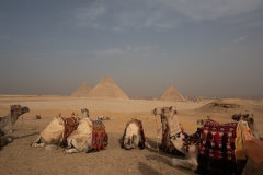 Pyramid of Cheops, Khafre, Menkaure. (for the King, his wife, and son)