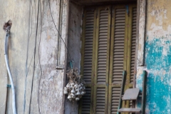 Drying garlic - Cario