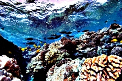 IMG_9569x