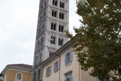 MG_7796