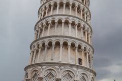 MG_7986