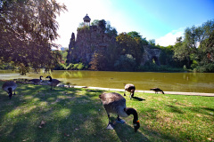 Geese at Parc des Buttes-Chaumont
