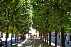 Jardin du Palais-Royal