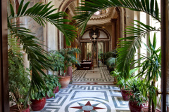 Musée Jacquemart-André Winter Garden