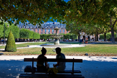 The Meeting-Place des Vosges