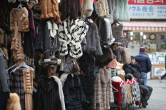 Some kind of fur