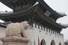 Gyeongbokgung traditional palace guards