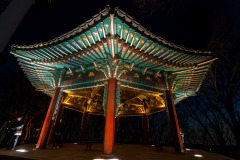 At Namsan Park