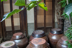 Persimmon tree and kimchee pots.