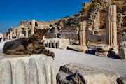 Ephesus gaurd