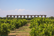 Aqueduct of Aspendos