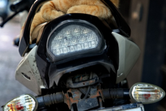Motor Cat
