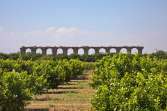 Aqueduct of Aspendos