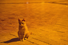 Waiting for a friend