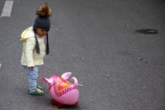 Year of the Pig pull toy - Hanoi