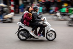 Even Dogs Love Motorbikes - Hanoi