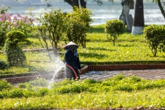 Hue gardening
