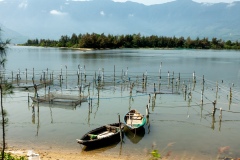 Oyster Farming