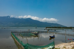 Oyster Farming