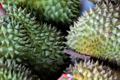 Durian - Hoi An
