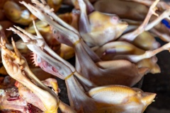 Yoga Chicken - Hoi An  Market
