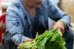 Nha Trang Market