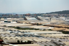 Dalat Farms